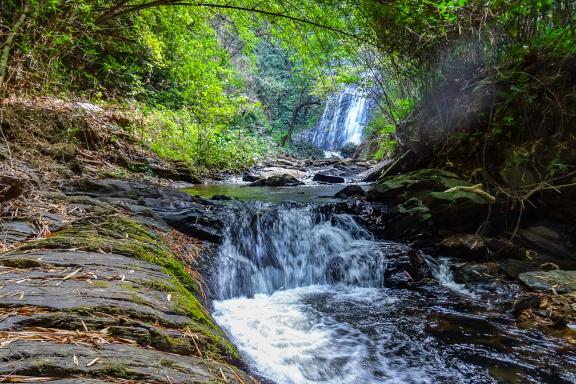 Trek le long d'une rivières dans les forêts près de la cascade Aklowa