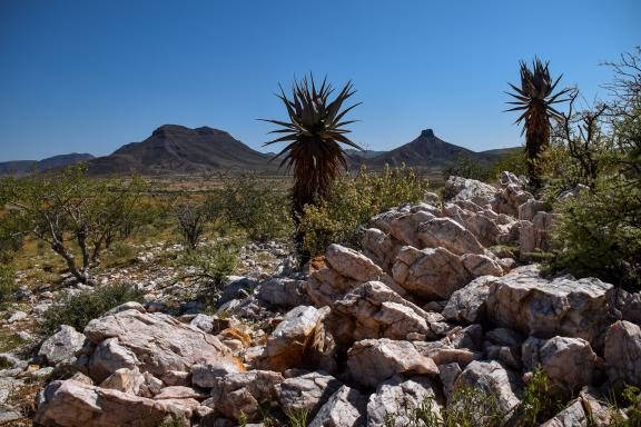 Balade dans le paysage de Mariental dans le nod namibien