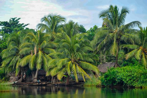 Randonnée vers les cases dans les Pangalanes de la côte Est