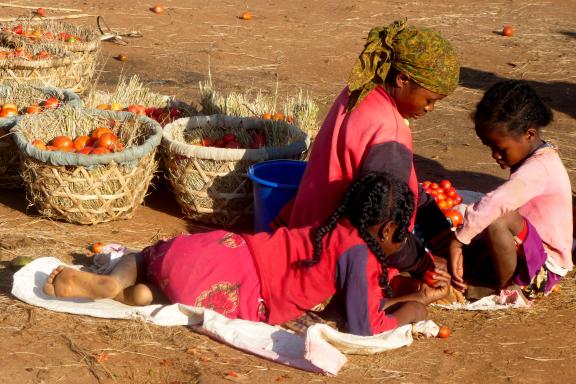 rencontre d'une vendeuse de tomates et ses enfants dans la province de Fianarantsoa