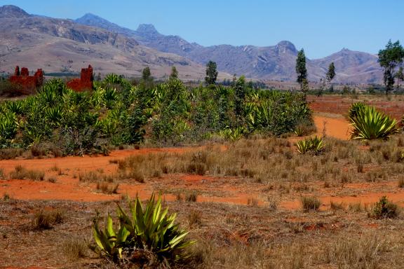 Trekking dans le massif de l'Andringitra au sud-ouest de l'Île rouge