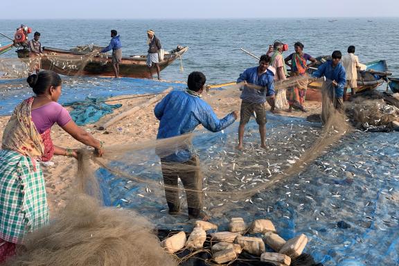 Voyage vers des pêcheurs du golfe du Bengale en Orissa