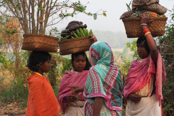 Randonnée avec des villageoises dongria kondh vers un marché de l'Orissa