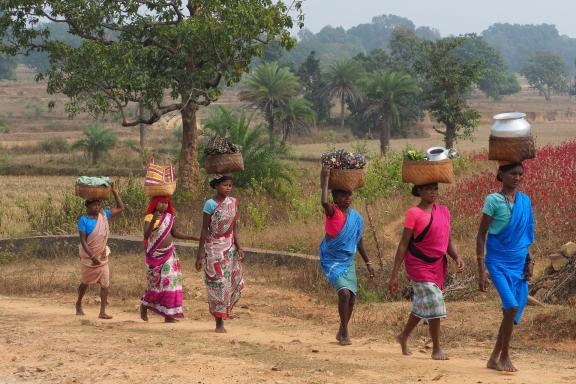 Randonnée avec des villageoises en route vers un marché hebdomadaire au Chhattisgarh