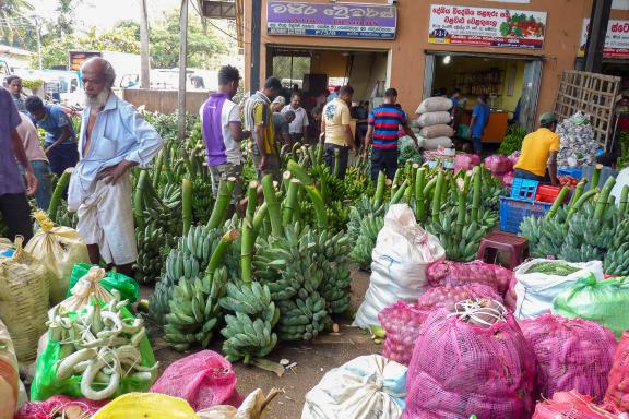 Trek vers un marché aux fruits et légumes près de Matale