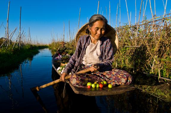 Découverte du travail dans les jardins flottants sur le lac Inlé