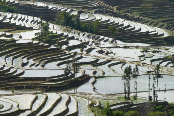 Randonnée vers les majestueuses rizières de Yuanyang au sud du Yunnan