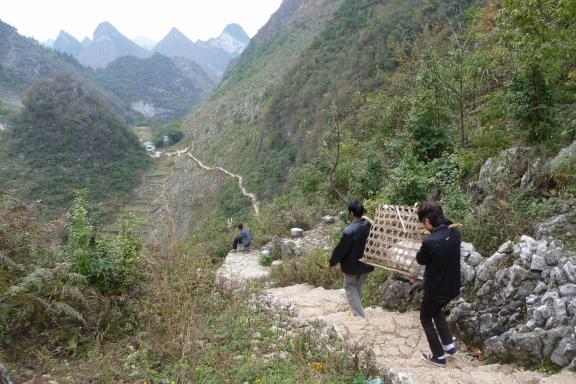 Randonnée avec un transport de cochon à pied dans les montagnes du Guizhou