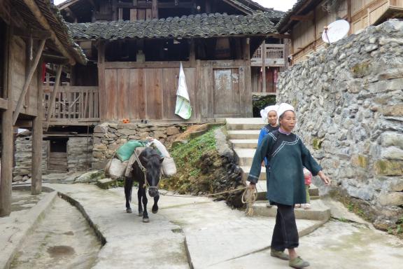 Trekking et traversée d'un village shui au Guizhou oriental