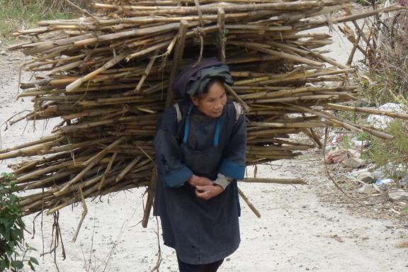 Rencontre d'une femme transportant du bois au Guizhou