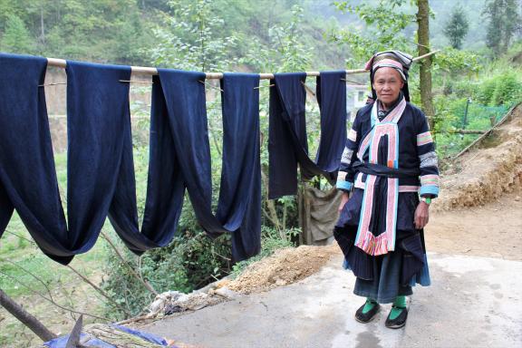 Rencontre d'une femme miao devant des tissus indigo au Guizhou