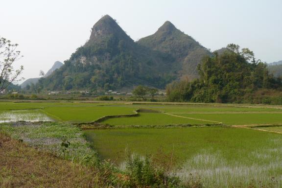 Trekking à travers le paysage montagneux du plateau de Lai Chau