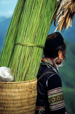 Rencontre d'une femme hmong noir de Sapa dans la vallée de Ta Van