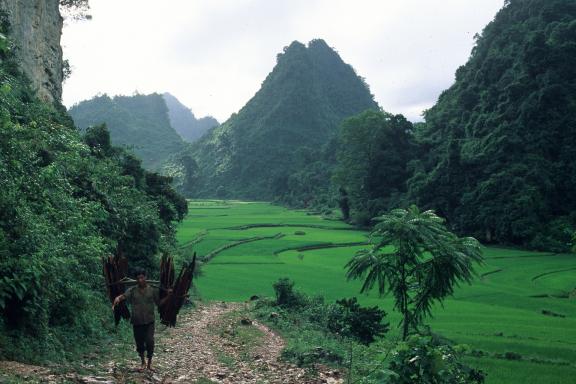 Trekking dans les montagnes karstiques au nord-ouest de Cao Bang