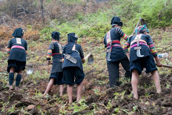 Rencontre de femmes lolo noir au travail dans un champ de la région de Bao Lac