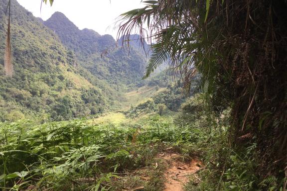 Trekking sur un sentier traversant les montagnes en direction de la région de Bac Me