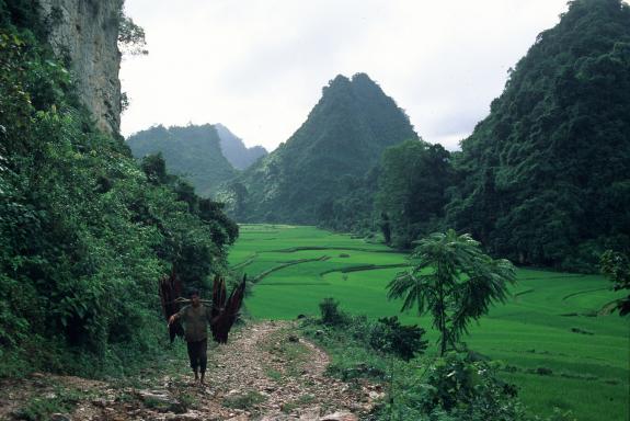 Trek à travers les montagnes et reliefs karstiques entre les régions de Cao Bang et Can Yen