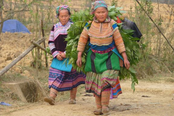 Trek avec des femmes hmong fleur en marche vers leur village dans la région de Bac Ha