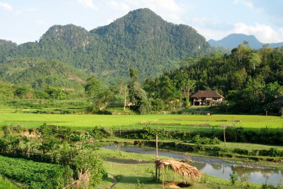 Trekking vers les rizières et paysage karstique dans les montagnes du nord Vietnam