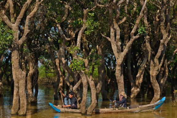 Rencontre de pêcheurs traversant la forêt inondée près du village de Kampong Phluk