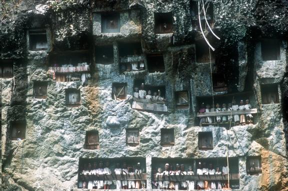 Trek vers des cercueils dans une falaise  en pays toraja