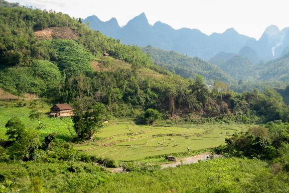 Trekking  dans les montagnes des Alpes Tonkinoises  tout au nord-ouest du Vietnam