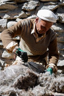 Découverte  berger shimshali kutch Pakistan