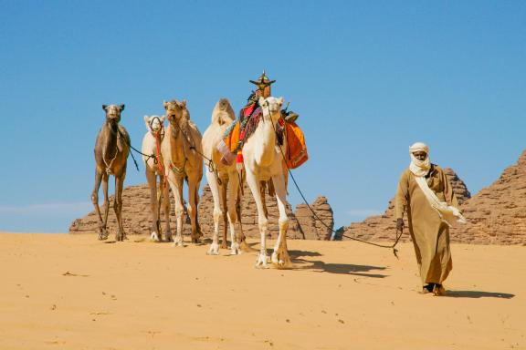 Découverte rencontre avec un chamelier dans le Sahara