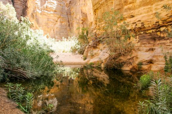 Trek vers une guelta d'Essendilene