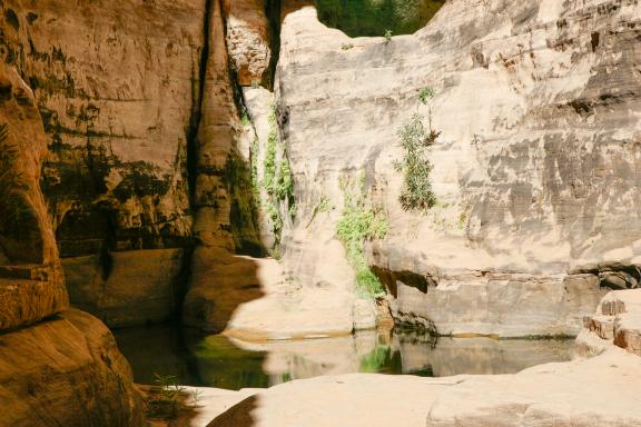 Trek autour d'une guelta dans le canyon d'Essendilene