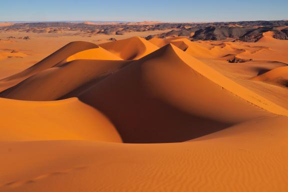 Trek dans un cordon de dunes ocres en Algérie