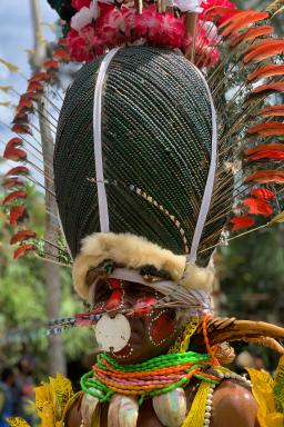 Découverte de la coiffe impressionnante d'un papou de Simbai au festival de Hagen