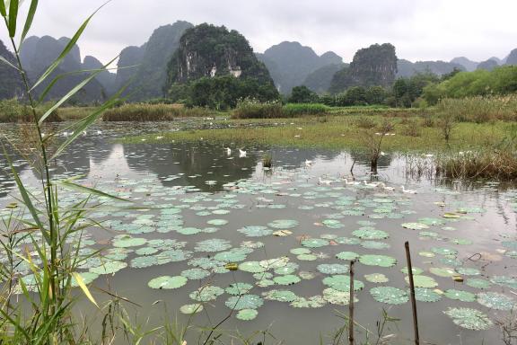 Randonnée à vélo dans la région de Tam Coc et Hoa Lu surnommée baie d'Along terrestre