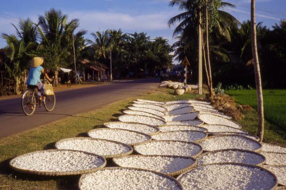 Randonnée à vélo vers du séchage de manioc en bord de route dans la région de Danang