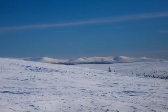 Découverte de l'ambiance arctique en Laponie finlandaise