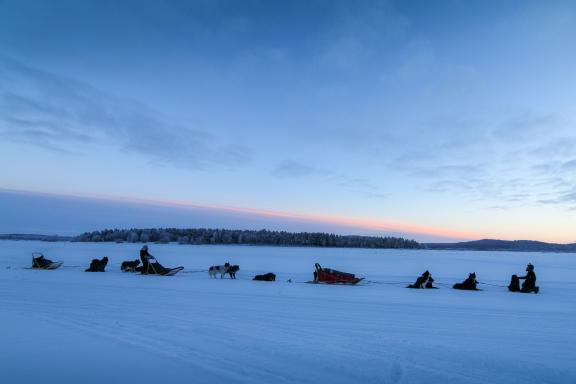 Trekking et raid en traineau à chiens sur le lac Inari