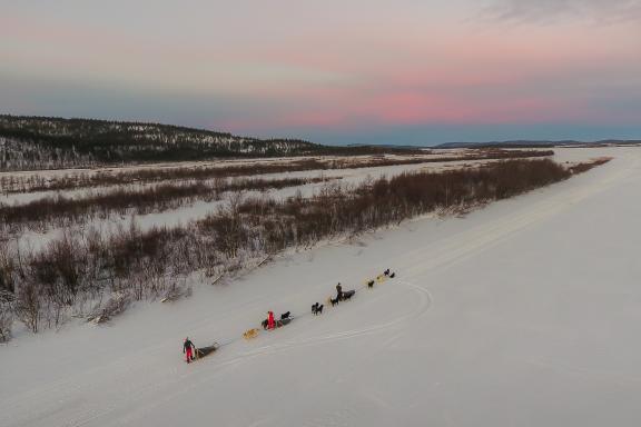 Voyage en traineau à chien en Laponie finlandaise