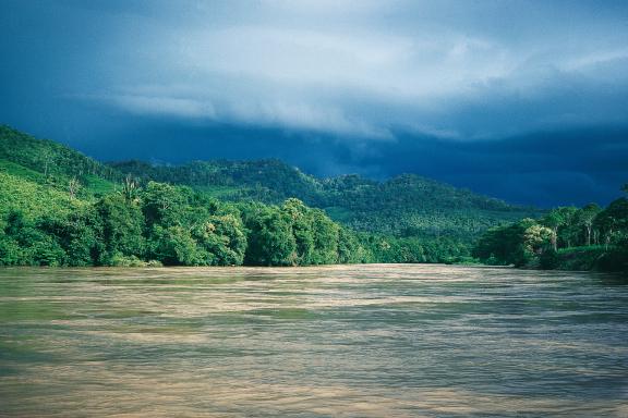 Voyage de remontée vers l'ouest du fleuve Mahakam sur Kalimantan Est