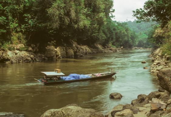 Trek vers le fleuve Mahakam dans les montagnes de Kalimantan Est