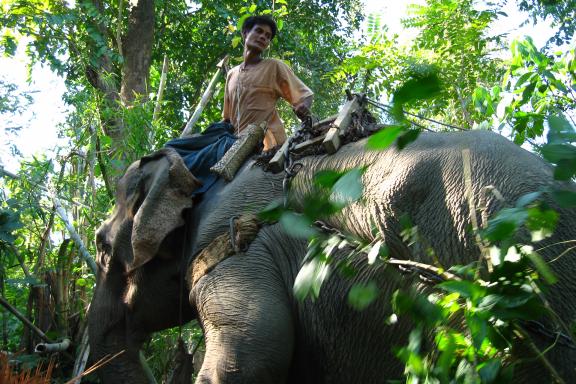 Randonnée vers un cornac karen au travail à la frontière entre Thaïlande et Birmanie