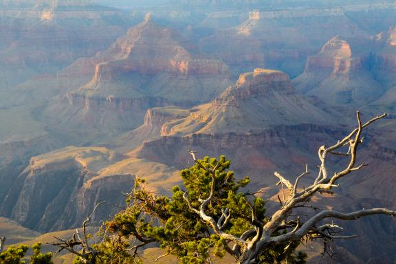 Trekking au coeur des montages érodées dans le Canyonlands National Park  aux États-Unis