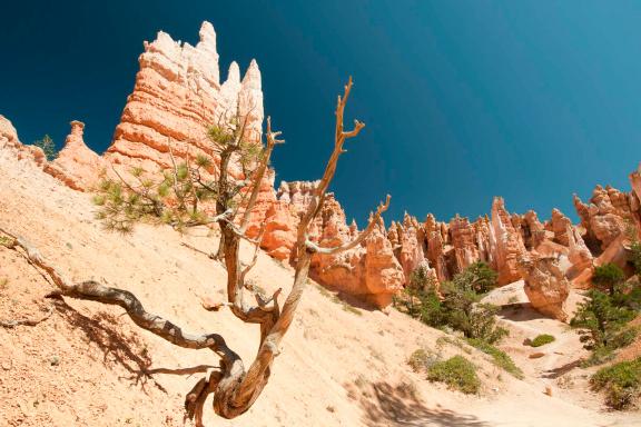 Randonnées vers les aiguilles de roches aux États-Unis