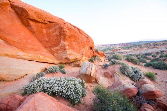 Randonnées au coeur des formations rocheuses ocres aux États-Unis