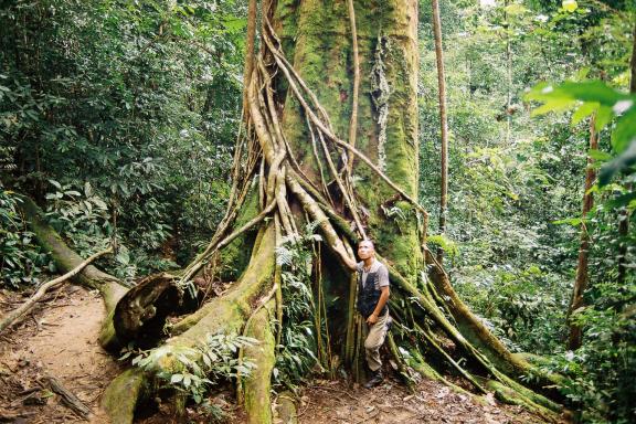 Trekking dans le parc Gunung Leuser près de Bukit Lawang