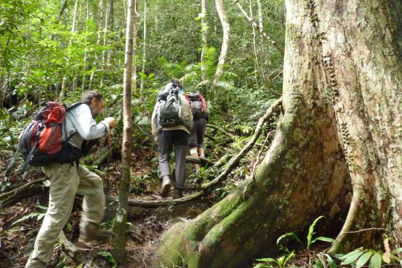 Trekking sur les pentes du volcan Kerinci sur l'île de Sumatra