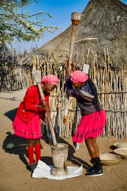 Balade vers des jeunes filles pilant dans une concession du nord namibien