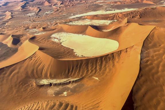 Découverte des dunes blondes de la côte namibienne