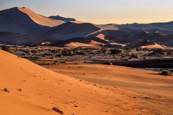 Trek dans les dunes oranges du Namib