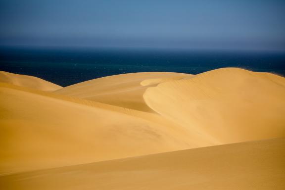 Balade dans les dunes plongeant dans l'Atlantique en Namibie