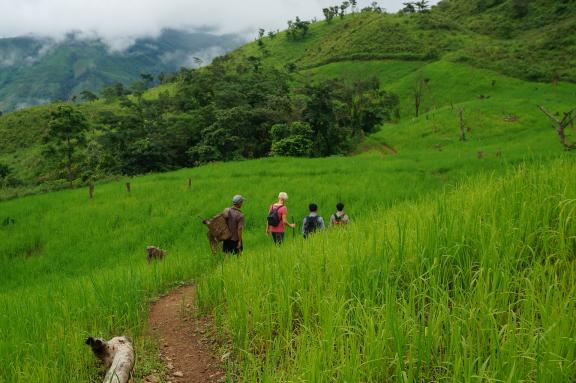 Randonnée à travers les rizières de montagne des Monts de l'Éléphant